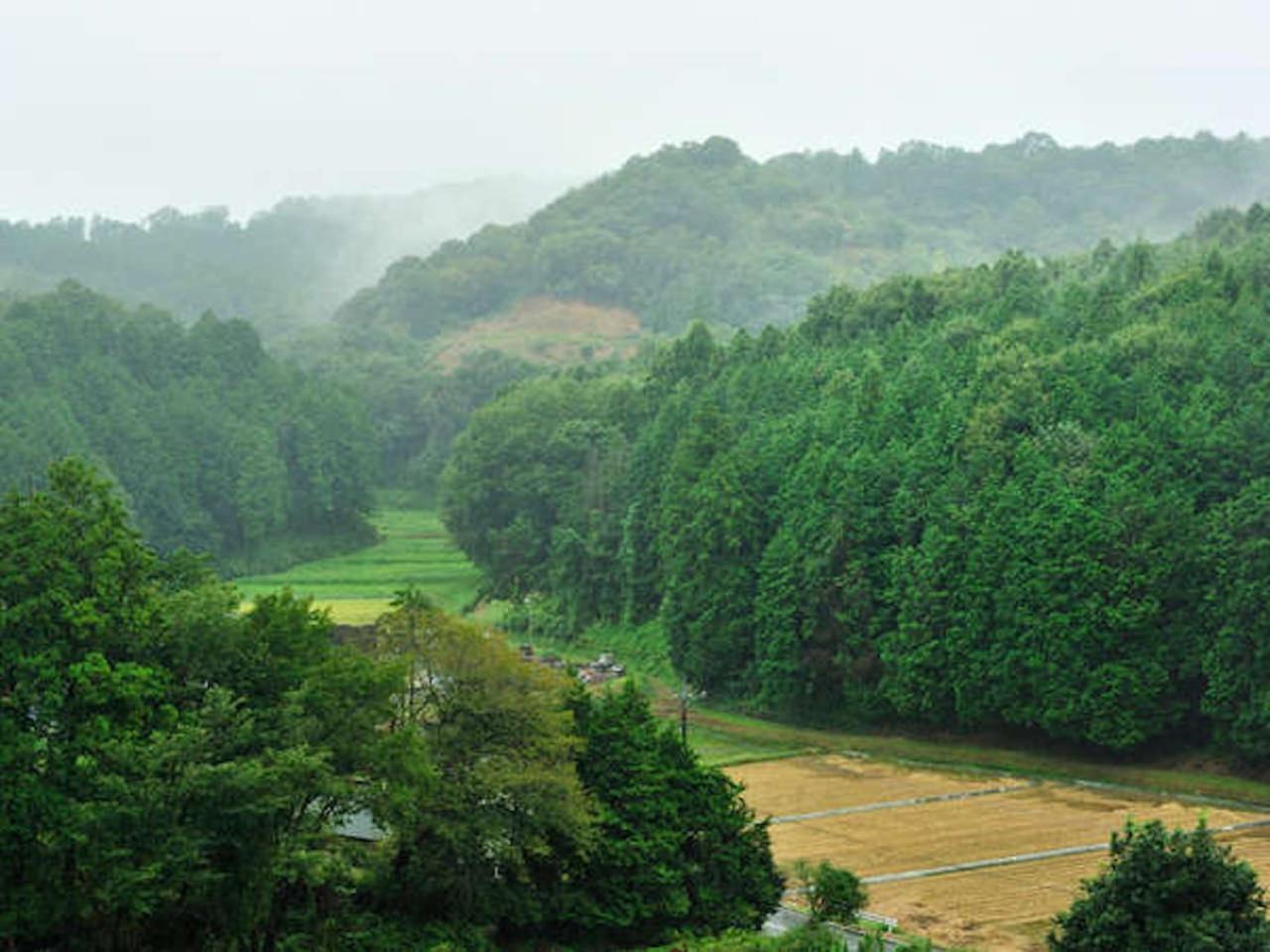Mashikokan Satoyama Resort Hotel Екстер'єр фото